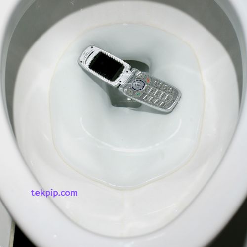 Dropped Phone in Toilet?